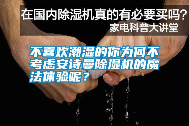 不喜歡潮濕的你為何不考慮安詩(shī)曼除濕機的魔法體驗呢？
