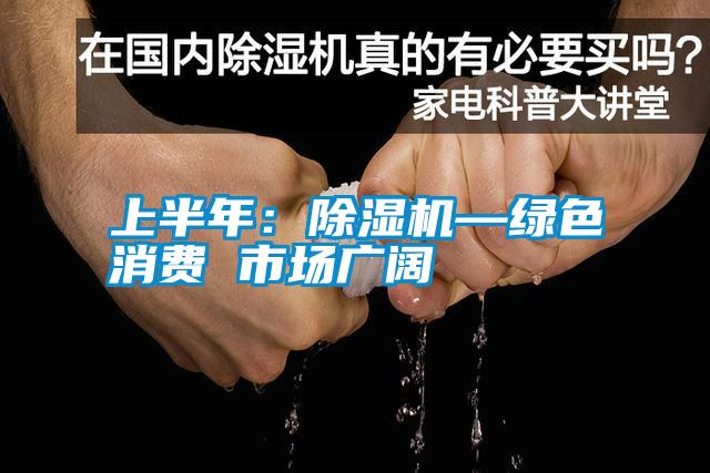 上半年：除濕機—綠色消費 市場(chǎng)廣闊