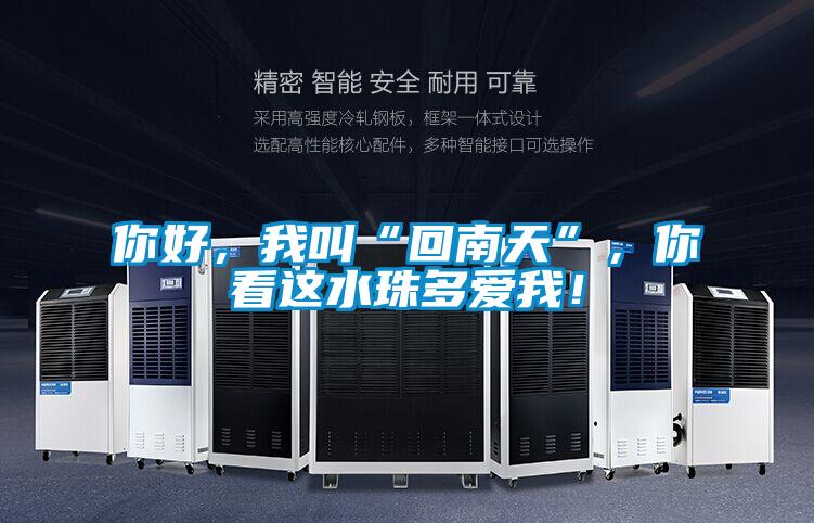 你好，我叫“回南天”，你看這水珠多愛(ài)我！