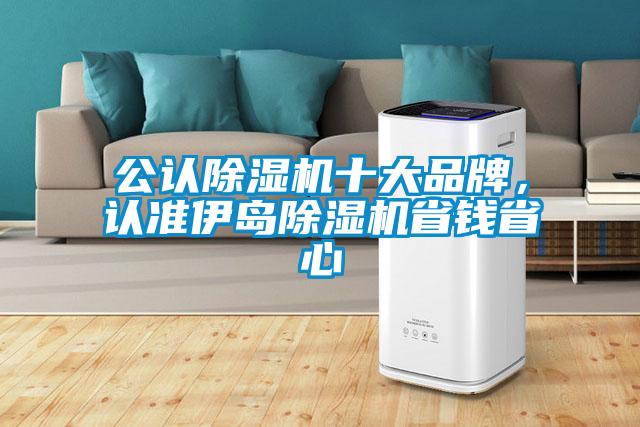 公認除濕機十大品牌，認準伊島除濕機省錢(qián)省心