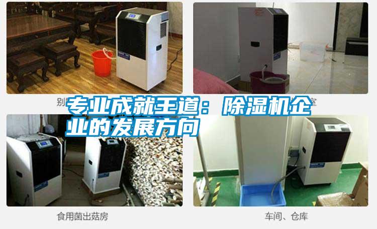 專(zhuān)業(yè)成就王道：除濕機企業(yè)的發(fā)展方向