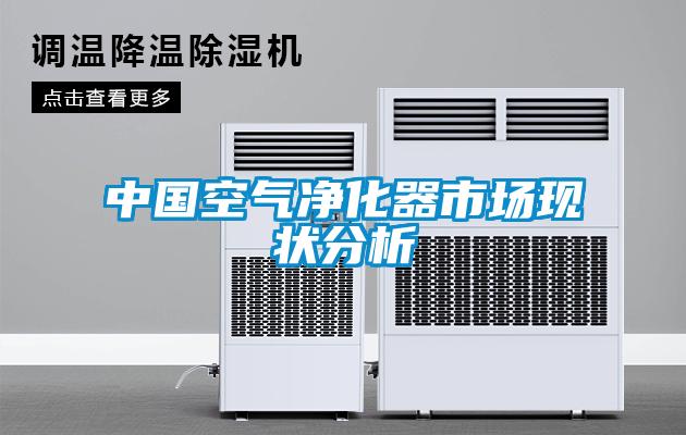 中國空氣凈化器市場(chǎng)現狀分析