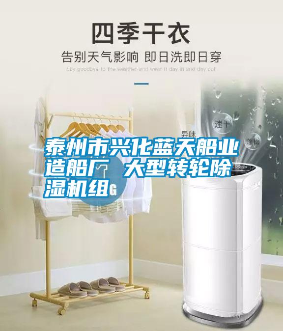 泰州市興化藍天船業(yè)造船廠(chǎng) 大型轉輪除濕機組