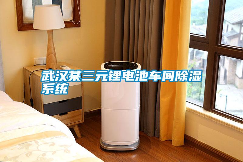 武漢某三元鋰電池車(chē)間除濕系統