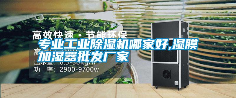 專(zhuān)業(yè)工業(yè)除濕機哪家好,濕膜加濕器批發(fā)廠(chǎng)家