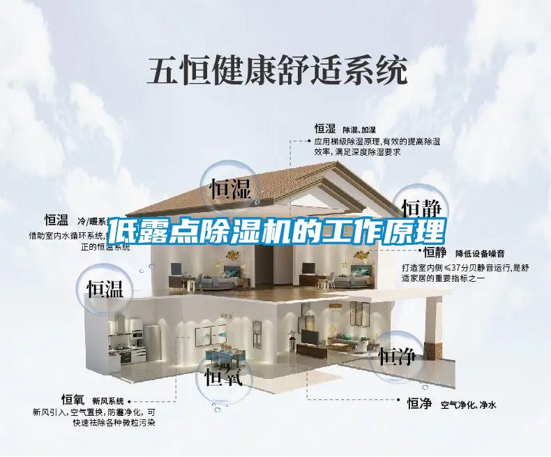 低露點(diǎn)除濕機的工作原理