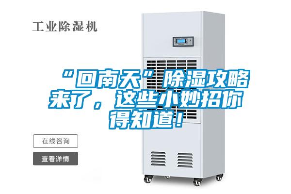 “回南天”除濕攻略來(lái)了，這些小妙招你得知道！