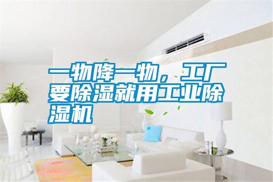 一物降一物，工廠(chǎng)要除濕就用工業(yè)除濕機