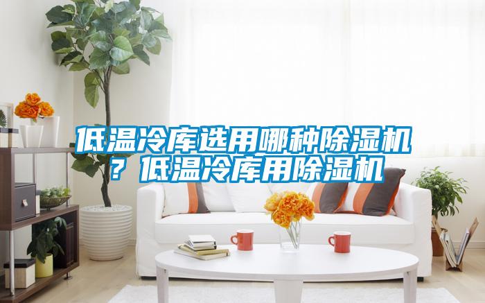 低溫冷庫選用哪種除濕機？低溫冷庫用除濕機