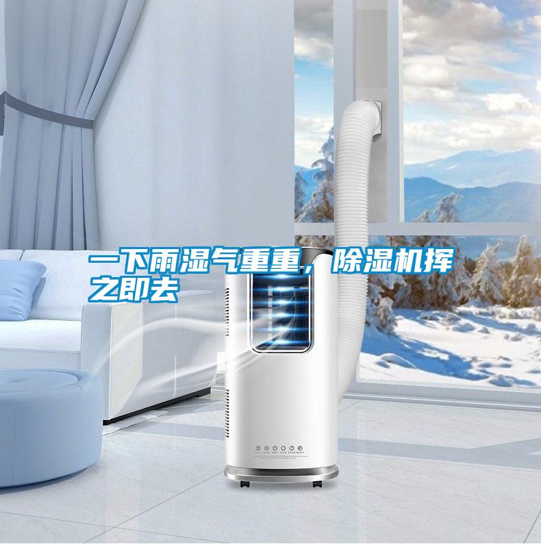一下雨濕氣重重，除濕機揮之即去