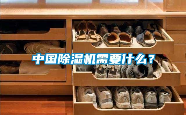 中國除濕機需要什么？