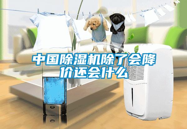 中國除濕機除了會(huì )降價(jià)還會(huì )什么