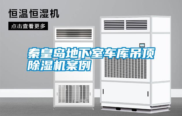 秦皇島地下室車(chē)庫吊頂除濕機案例