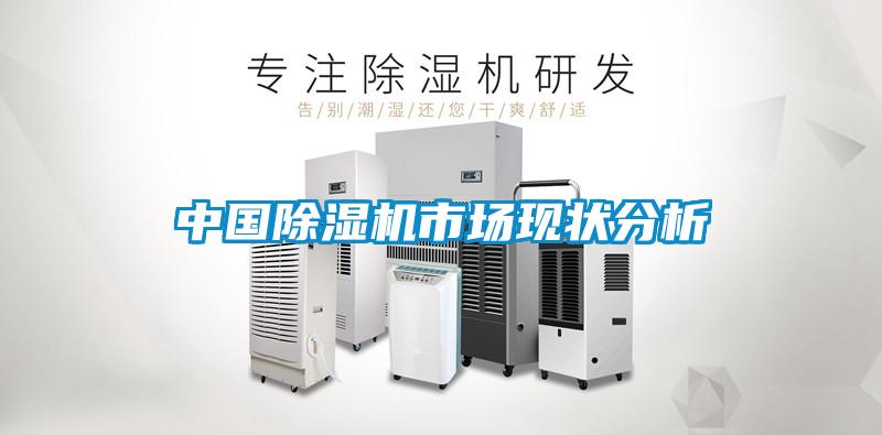 中國除濕機市場(chǎng)現狀分析
