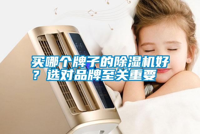 買(mǎi)哪個(gè)牌子的除濕機好？選對品牌至關(guān)重要