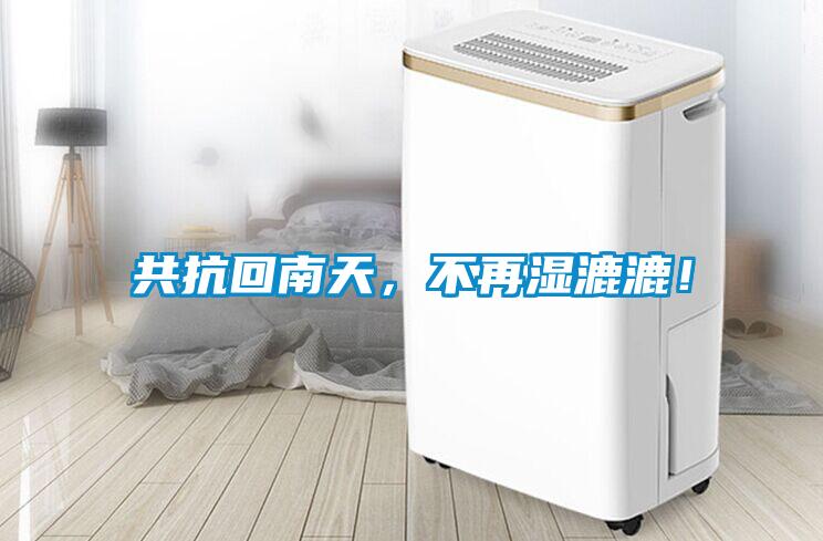 共抗回南天，不再濕漉漉！