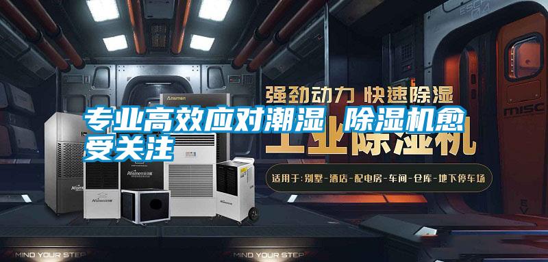 專(zhuān)業(yè)高效應對潮濕 除濕機愈受關(guān)注