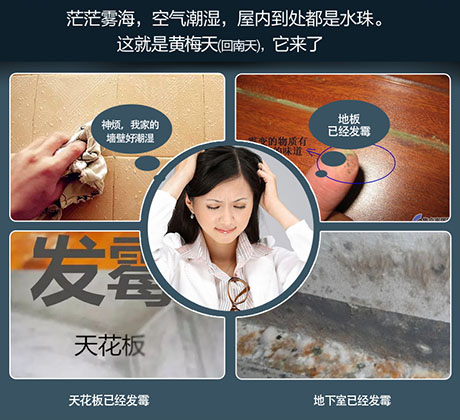 家庭別墅的地下室、衛生間、儲物室等該如何除濕？