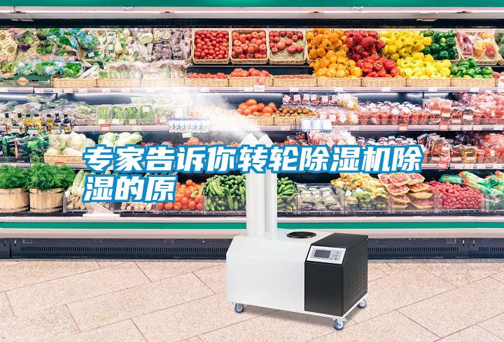專(zhuān)家告訴你轉輪除濕機除濕的原