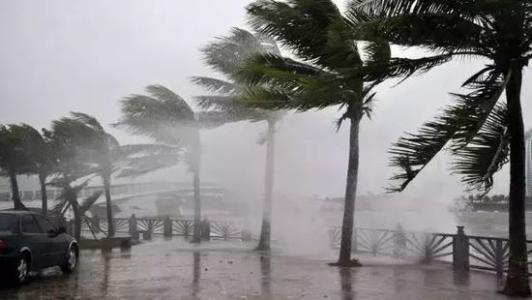 8月臺風(fēng)雨即將來(lái)，除濕機還得用起來(lái)