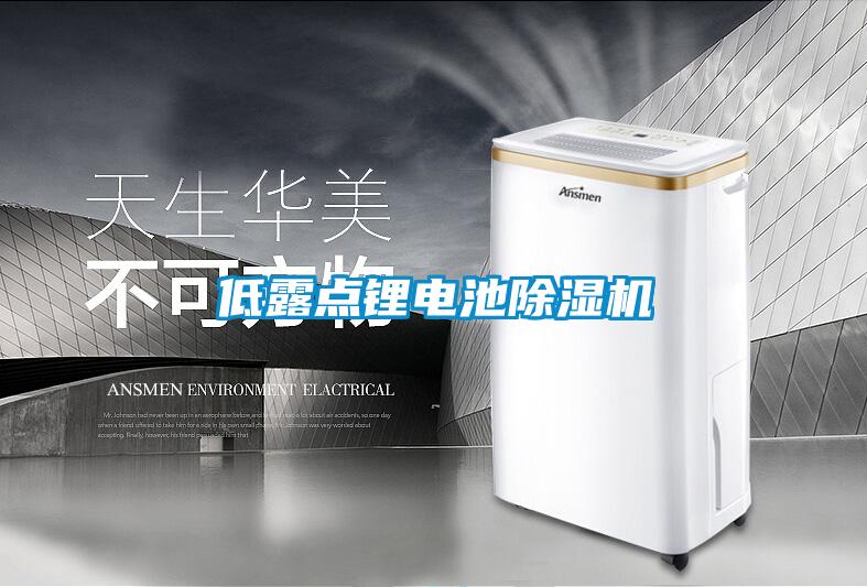 低露點(diǎn)鋰電池除濕機