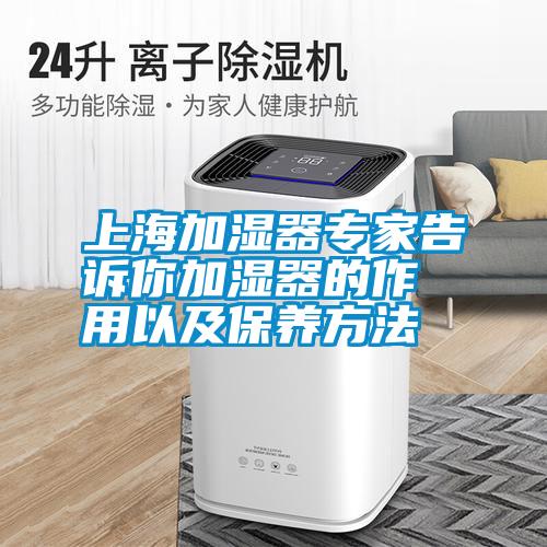 上海加濕器專(zhuān)家告訴你加濕器的作用以及保養方法