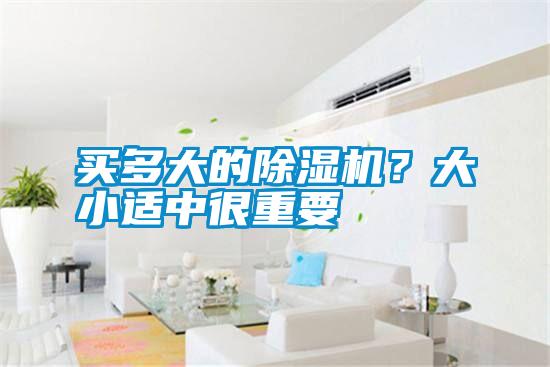 買(mǎi)多大的除濕機？大小適中很重要