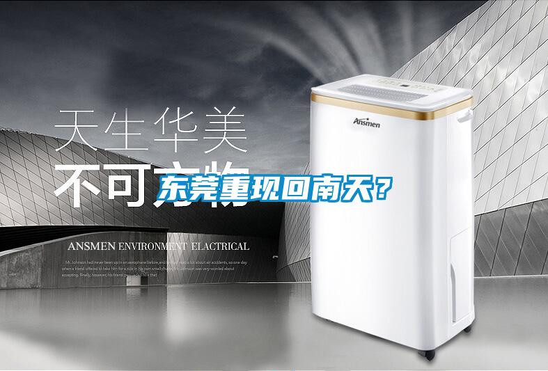東莞重現回南天？