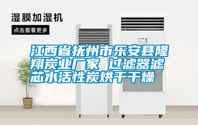 江西省撫州市樂(lè )安縣隆翔炭業(yè)廠(chǎng)家 過(guò)濾器濾芯水活性炭烘干干燥
