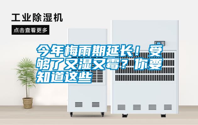 今年梅雨期延長(cháng)！受夠了又濕又霉？你要知道這些