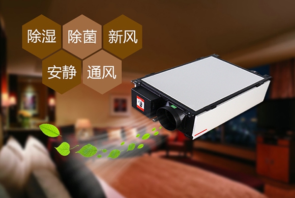 為什么冷庫除濕機會(huì )出現結霜的情況？