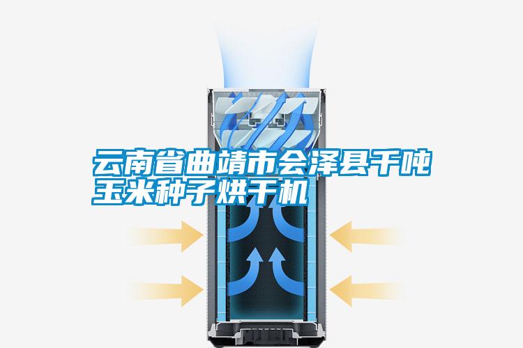 云南省曲靖市會(huì )澤縣千噸玉米種子烘干機