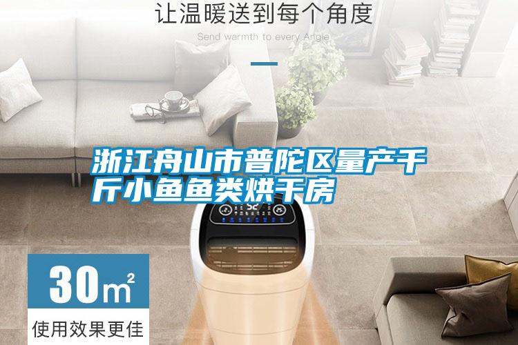 浙江舟山市普陀區量產(chǎn)千斤小魚(yú)魚(yú)類(lèi)烘干房