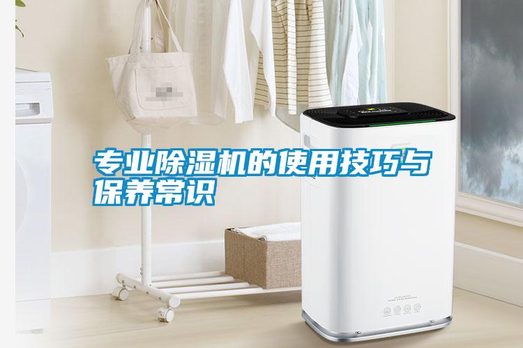專(zhuān)業(yè)除濕機的使用技巧與保養常識