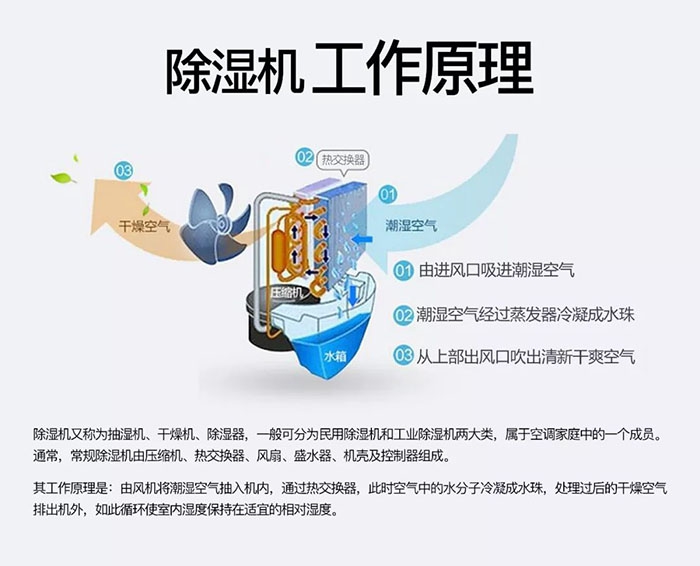 潮濕天氣狗最容易患上這種毛??！三個(gè)注意事項，鏟屎官一定要看看