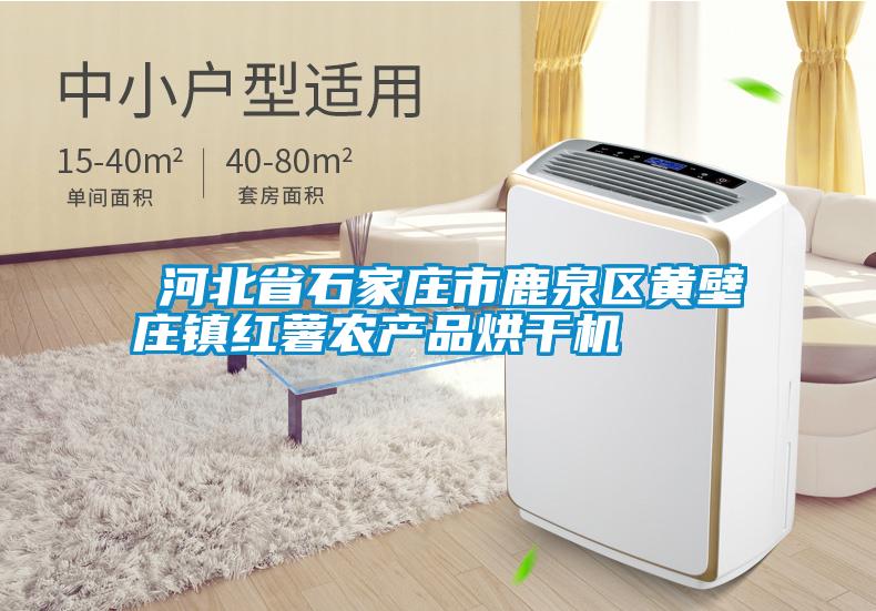 ?河北省石家莊市鹿泉區黃壁莊鎮紅薯農產(chǎn)品烘干機