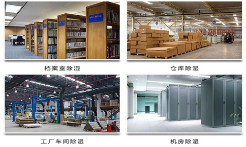 為什么竹筍烘干房需要除濕機？