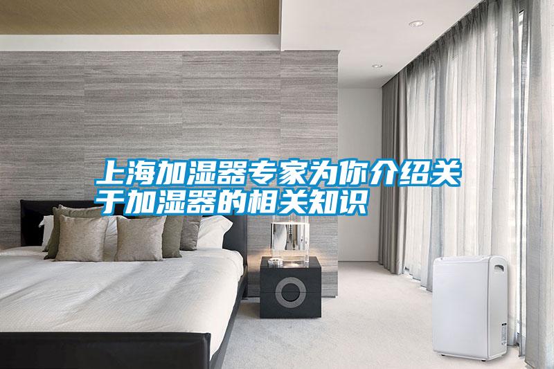 上海加濕器專(zhuān)家為你介紹關(guān)于加濕器的相關(guān)知識