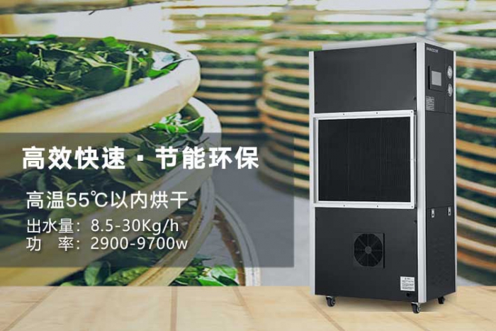 潮濕天氣來(lái)襲，螨蟲(chóng)爆滿(mǎn)床！