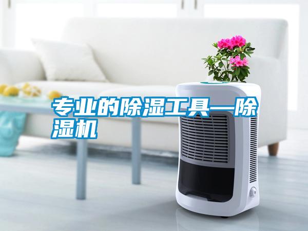 專(zhuān)業(yè)的除濕工具—除濕機