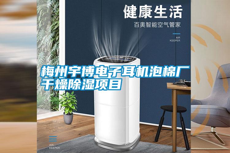 梅州宇博電子耳機泡棉廠(chǎng)干燥除濕項目