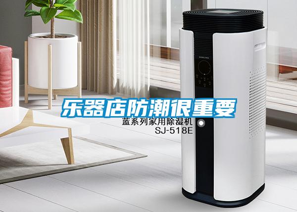 樂(lè )器店防潮很重要