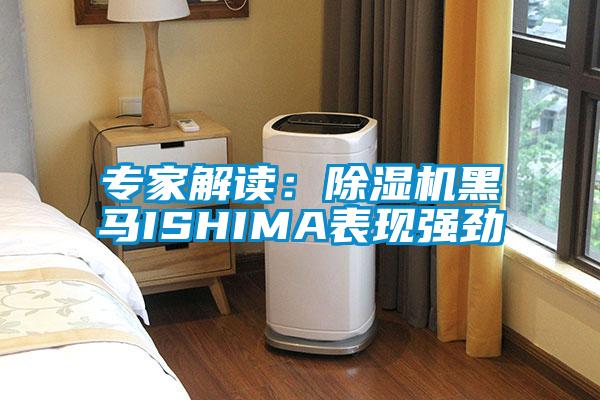 專(zhuān)家解讀：除濕機黑馬ISHIMA表現強勁