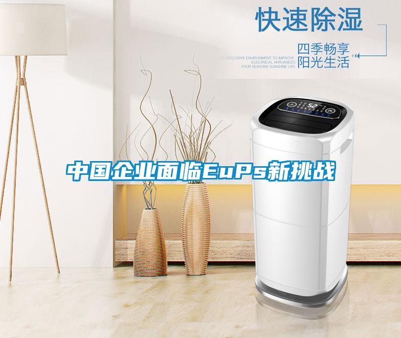 中國企業(yè)面臨EuPs新挑戰