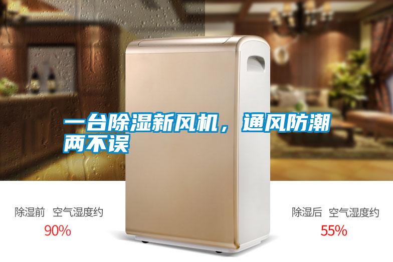 一臺除濕新風(fēng)機，通風(fēng)防潮兩不誤