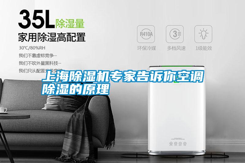 上海除濕機專(zhuān)家告訴你空調除濕的原理