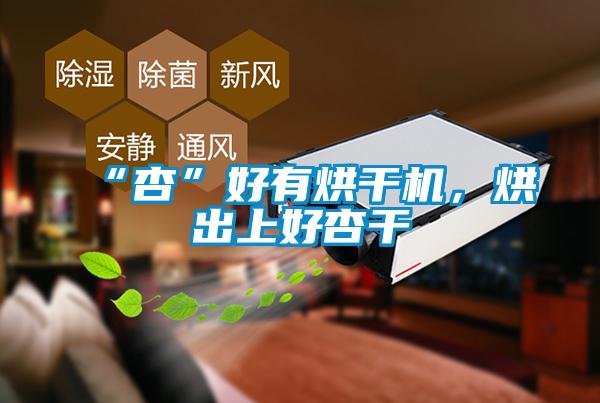 “杏”好有烘干機，烘出上好杏干