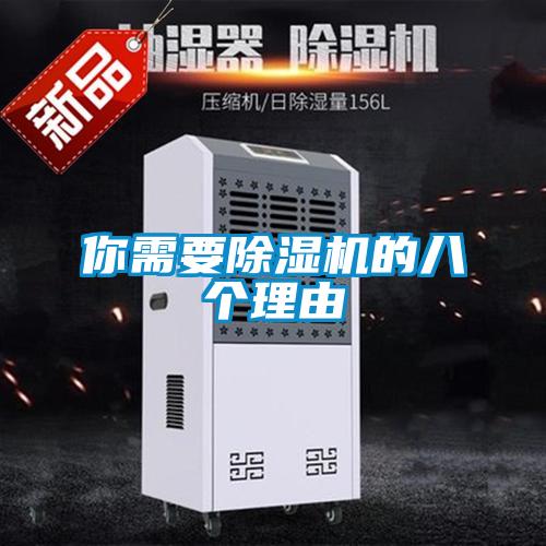 你需要除濕機的八個(gè)理由