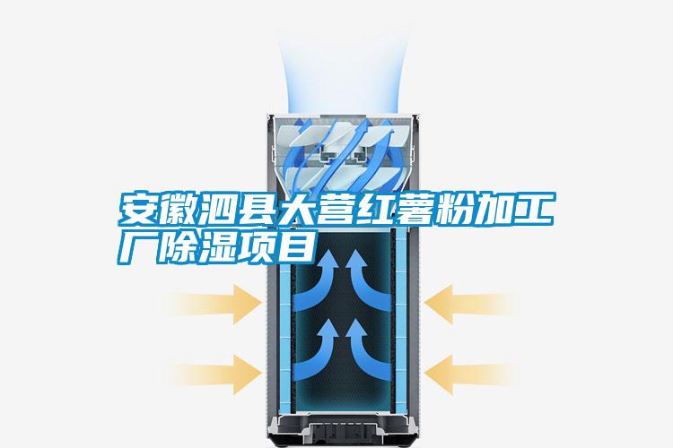 安徽泗縣大營(yíng)紅薯粉加工廠(chǎng)除濕項目