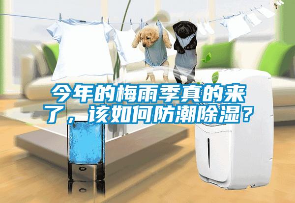 今年的梅雨季真的來(lái)了，該如何防潮除濕？